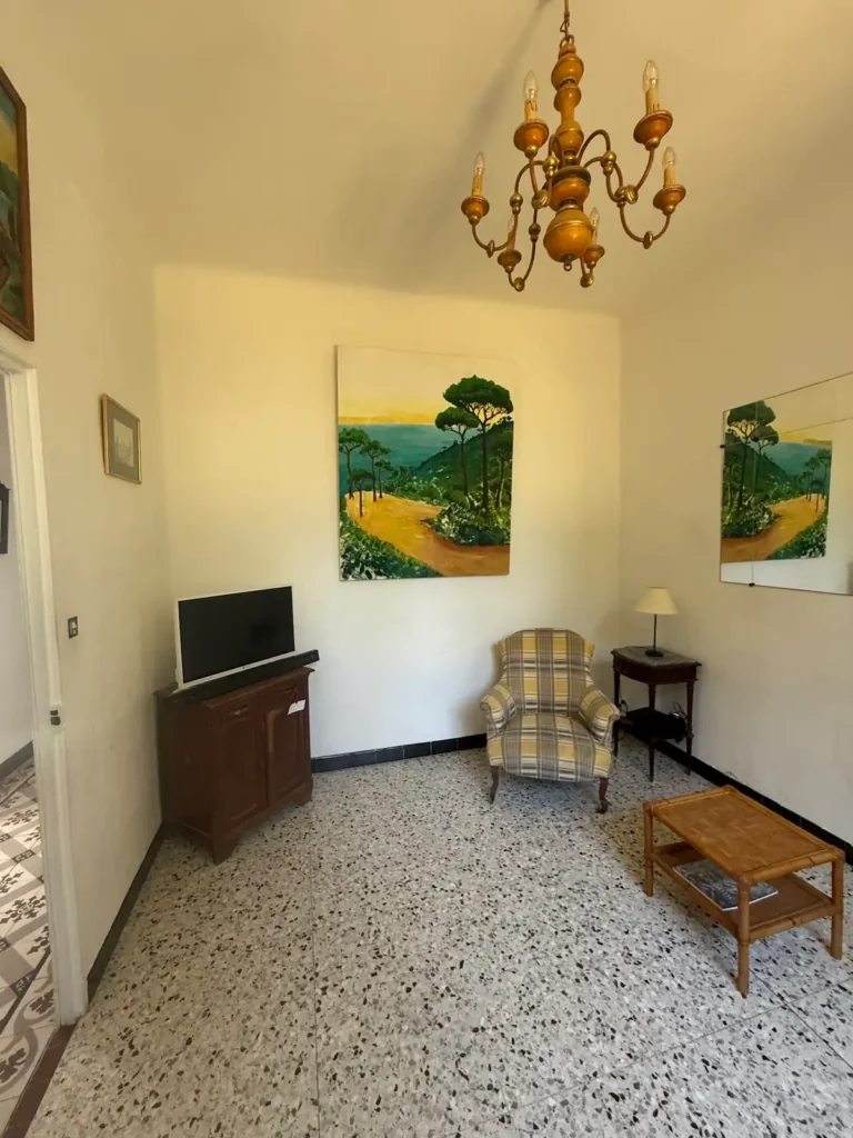 Avant travaux : salon avec lustre ancien, meuble télévision et fauteuil, projet Augustine par Maison Solthée, architecte d'intérieur à Cassis